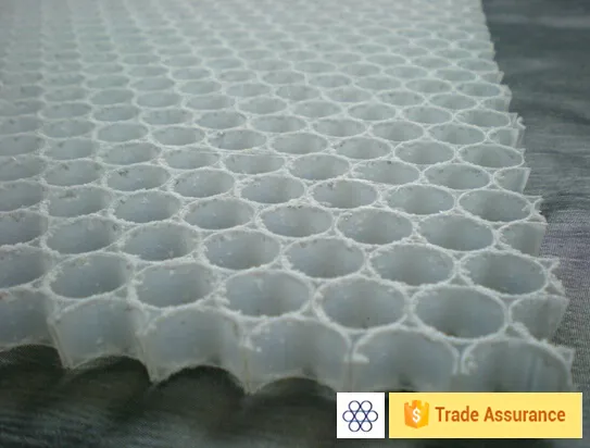 13mm PP Honeycomb Panel 